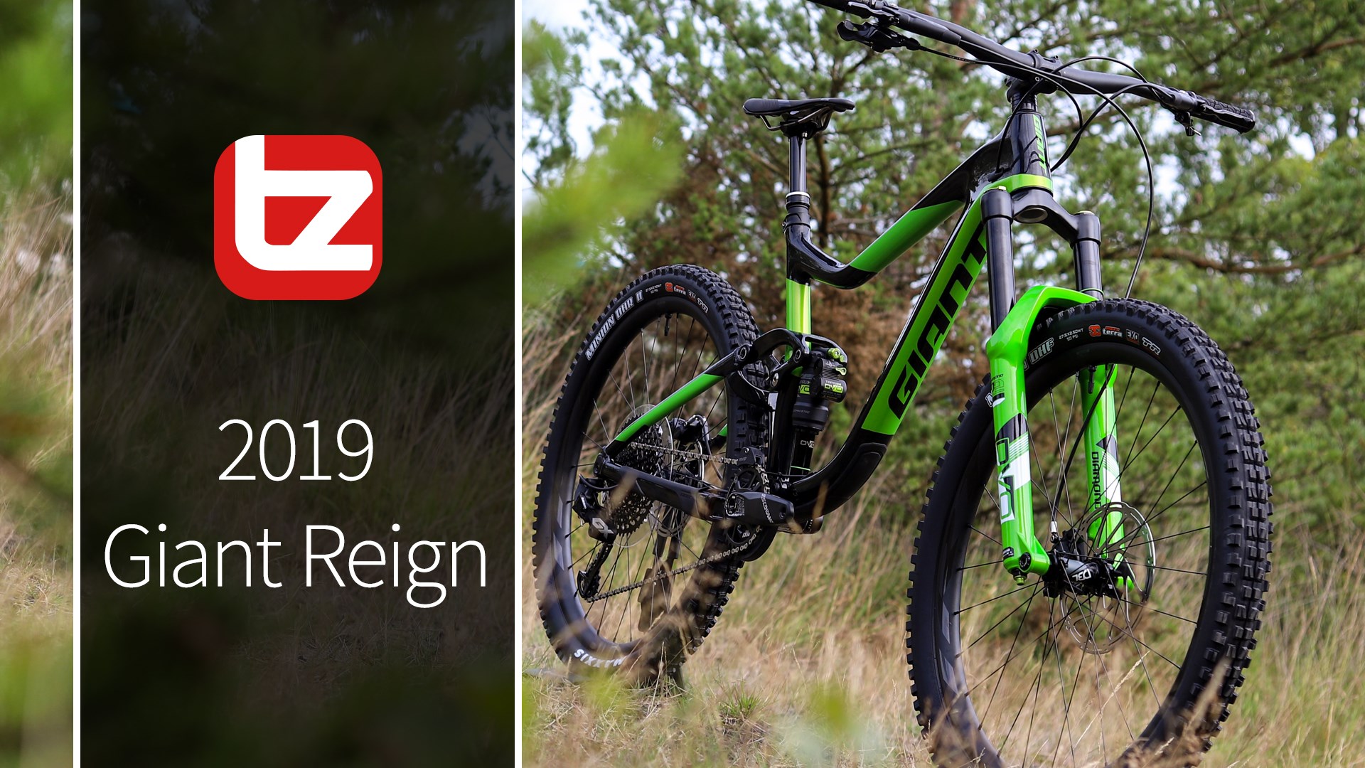 2019 Giant Reign Range Review 